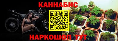 каннабис Будённовск