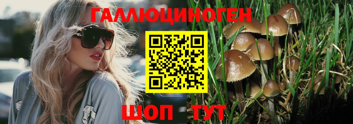 Галлюциногенные грибы MAGIC MUSHROOMS Соль-Илецк