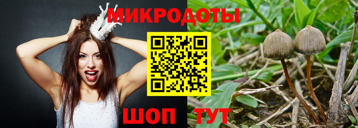 Соль-Илецк  Псилоцибиновые грибы Psilocybe  Псилоцибиновые грибы GOLDEN TEACHER  Вход с VPN 